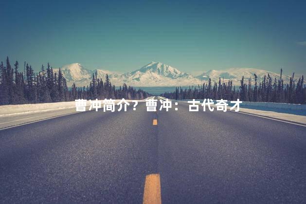 曹冲简介？曹冲：古代奇才