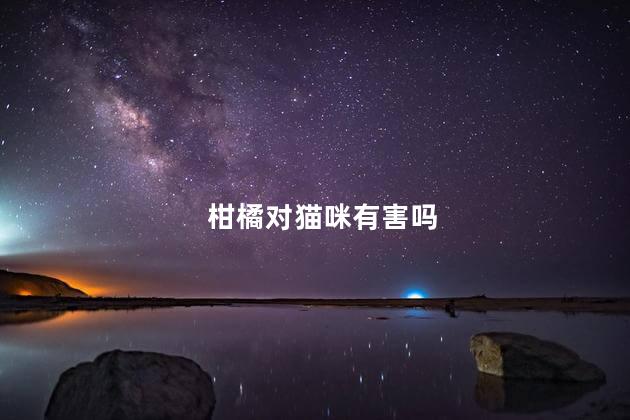 柑橘对猫咪有害吗