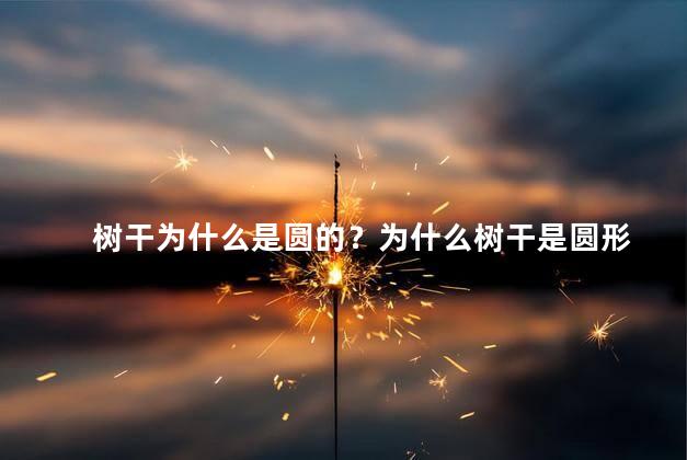 树干为什么是圆的？为什么树干是圆形