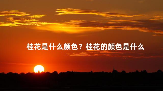 桂花是什么颜色？桂花的颜色是什么