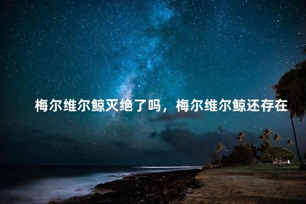 梅尔维尔鲸灭绝了吗，梅尔维尔鲸还存在吗