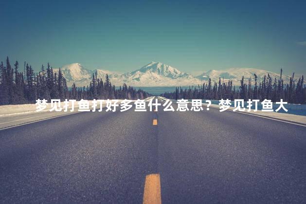 梦见打鱼打好多鱼什么意思？梦见打鱼大量收获的含义