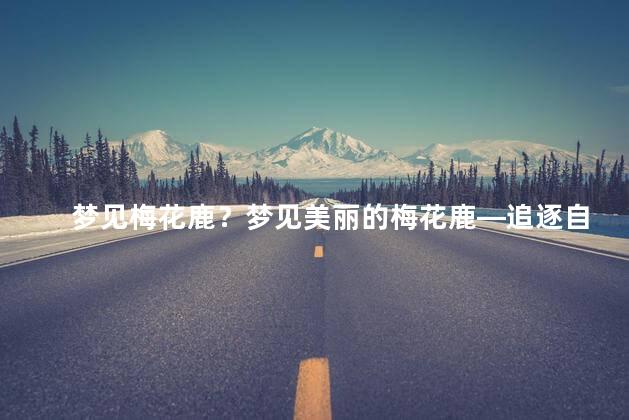 梦见梅花鹿？梦见美丽的梅花鹿—追逐自然奇景
