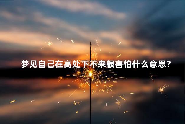 梦见自己在高处下不来很害怕什么意思？高处下不来的梦意义-感受恐惧和无助