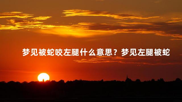 梦见被蛇咬左腿什么意思？梦见左腿被蛇咬，解梦分析给你解惑