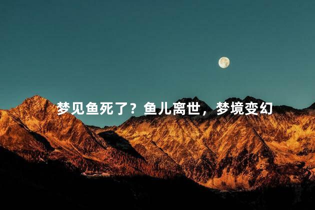 梦见鱼死了？鱼儿离世，梦境变幻