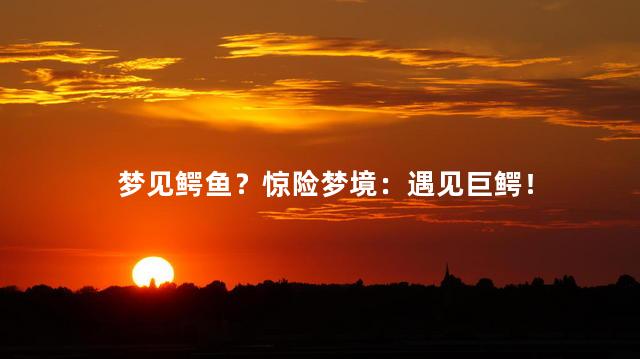 梦见鳄鱼？惊险梦境：遇见巨鳄！
