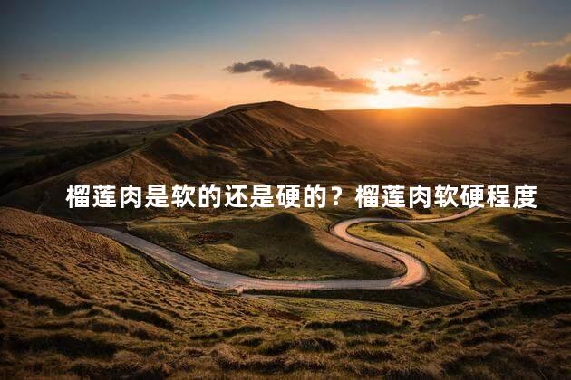 榴莲肉是软的还是硬的？榴莲肉软硬程度如何