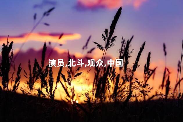 演员,北斗,观众,中国