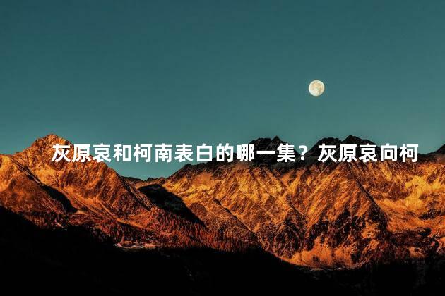 灰原哀和柯南表白的哪一集？灰原哀向柯南表白，扭转情感的那一集！