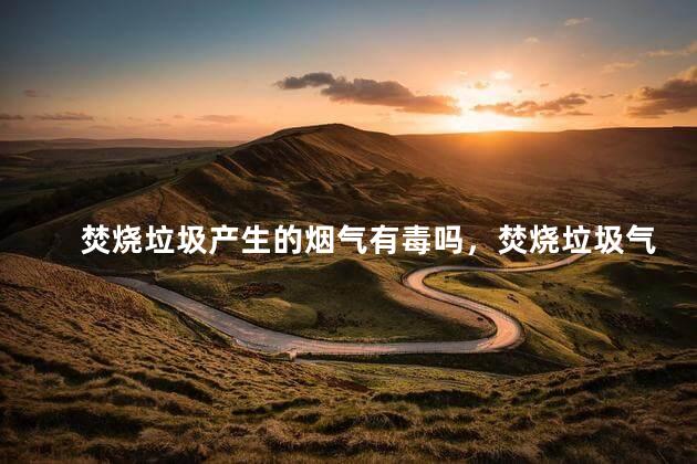 焚烧垃圾产生的烟气有毒吗，焚烧垃圾气味对人体有害吗