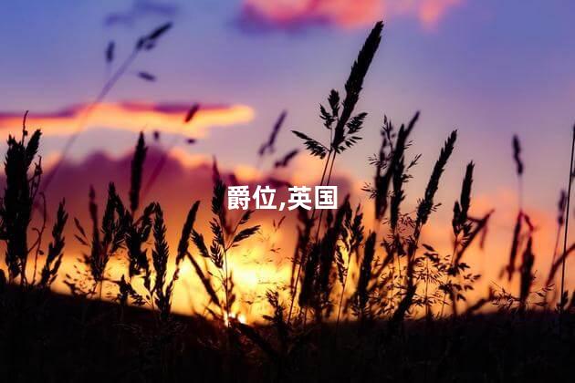 英国爵位现在有什么用？英国爵位的现实威能