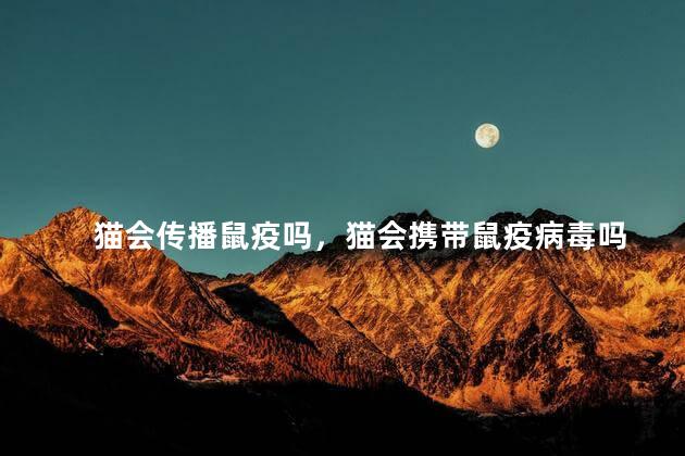 猫会传播鼠疫吗，猫会携带鼠疫病毒吗