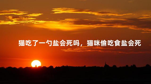 猫吃了一勺盐会死吗，猫咪偷吃食盐会死吗