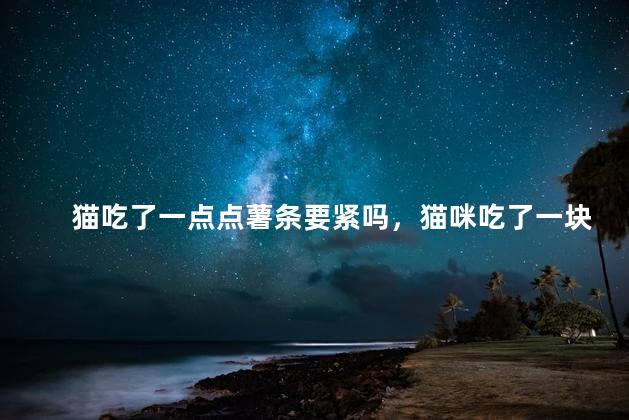 猫吃了一点点薯条要紧吗，猫咪吃了一块薯片没事吧