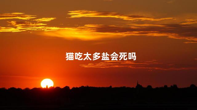 猫吃太多盐会死吗，猫吃咸肉会死吗