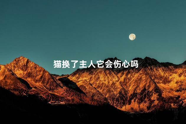 猫换了主人它会伤心吗，8个月猫换主人会伤心吗