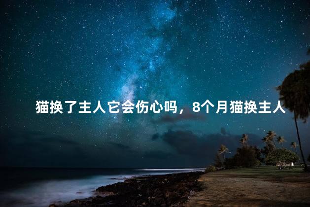 猫换了主人它会伤心吗，8个月猫换主人会伤心吗