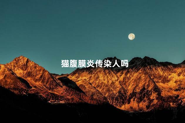 猫腹膜炎传染人吗，猫腹膜炎会传染人吗