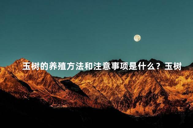玉树的养殖方法和注意事项是什么？玉树的养殖要点与注意事项-全方位指南