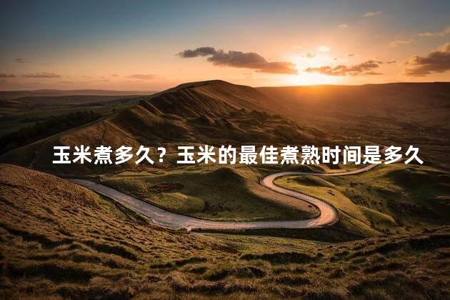 玉米煮多久？玉米的最佳煮熟时间是多久？