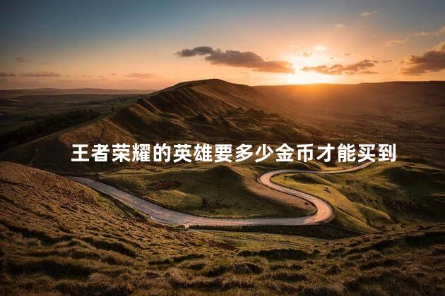 王者荣耀的英雄要多少金币才能买到，王者荣耀的英雄要多少金币换