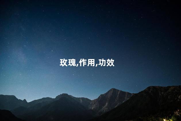 玫瑰花的功效与作用？玫瑰花的益处及效果