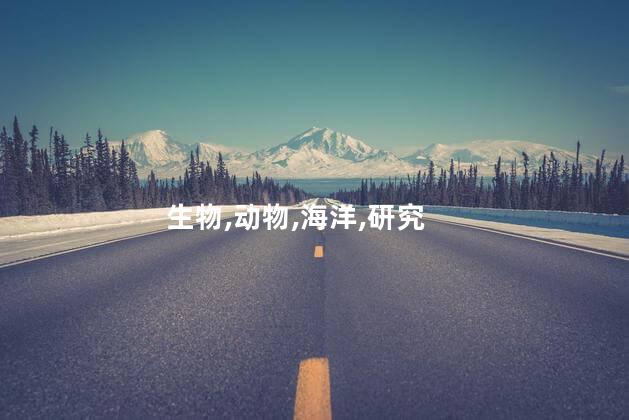 白八爪？白八爪，一个令人惊叹的生物