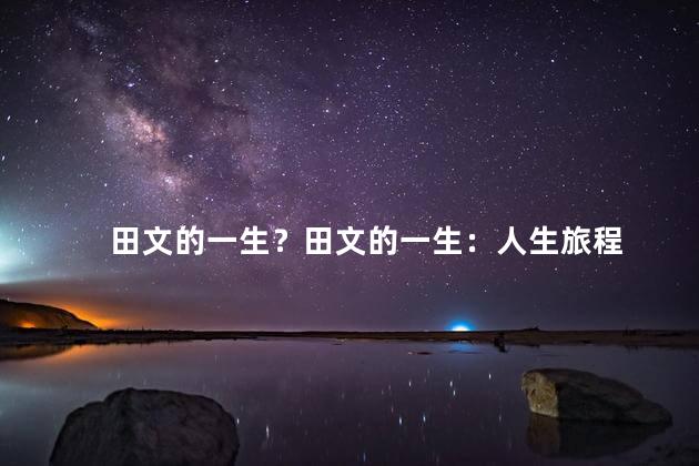 田文的一生？田文的一生：人生旅程