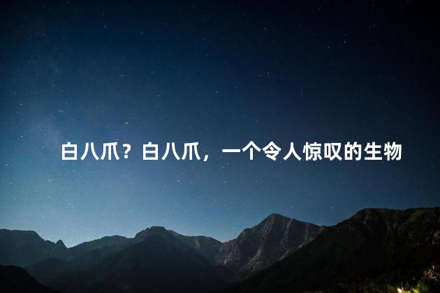 白八爪？白八爪，一个令人惊叹的生物