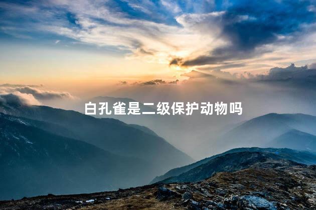 白孔雀是二级保护动物吗