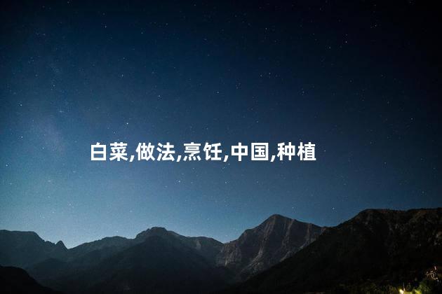 白菜的做法？简单好味的白菜做法