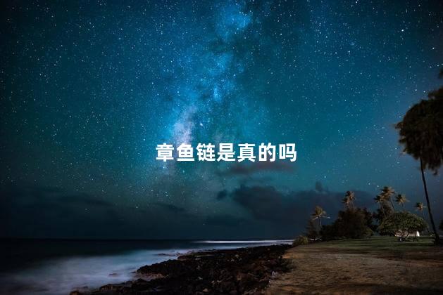 章鱼链是真的吗