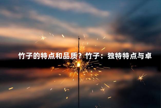 竹子的特点和品质？竹子：独特特点与卓越品质