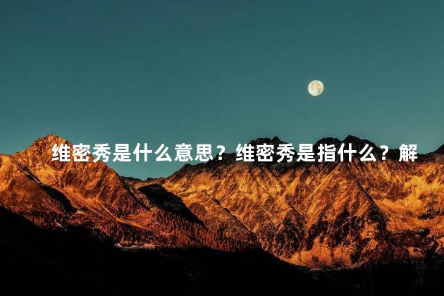 维密秀是什么意思？维密秀是指什么？解读维密秀的真正含义