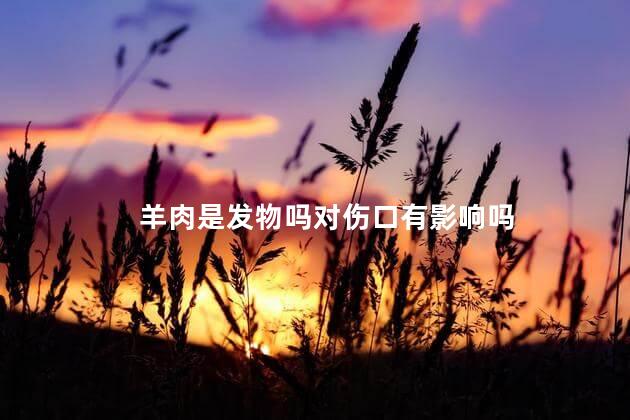 羊肉是发物吗对伤口有影响吗