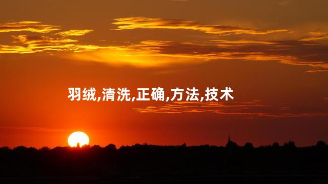 羽绒服上的油渍怎么洗？羽绒服油渍清洗小窍门：轻松恢复清新35字