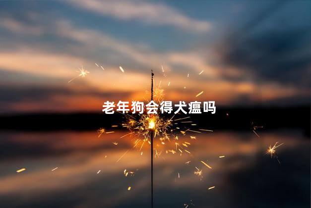 老年狗会得犬瘟吗