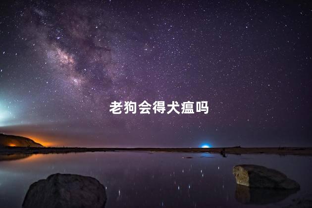 老狗会得犬瘟吗