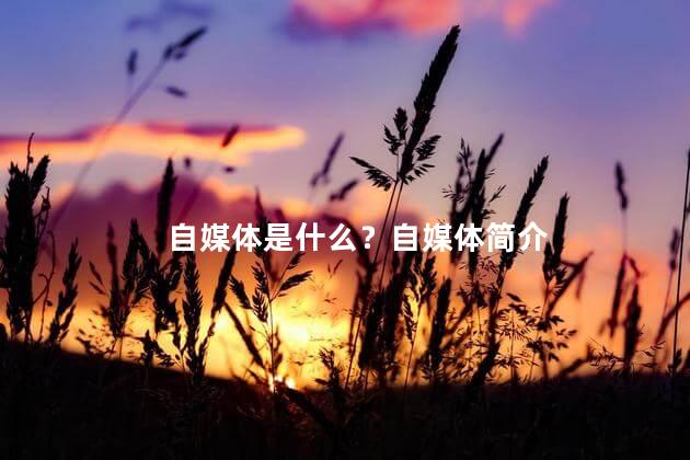 自媒体是什么？自媒体简介