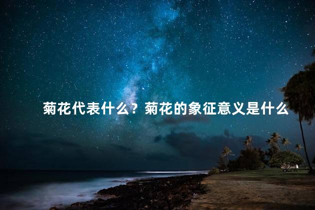 菊花代表什么？菊花的象征意义是什么