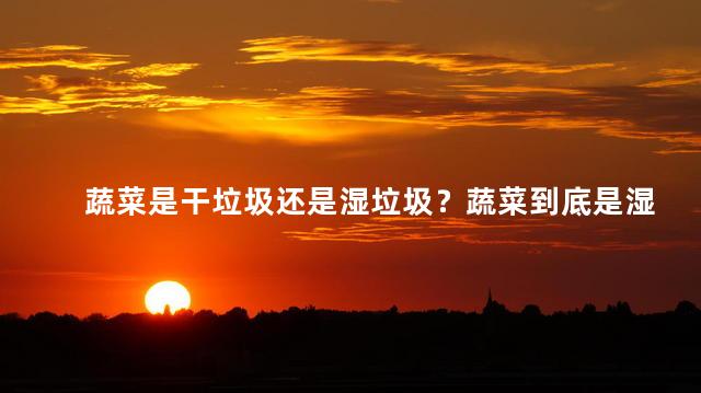 蔬菜是干垃圾还是湿垃圾？蔬菜到底是湿垃圾还是干垃圾？快来了解正确分类！