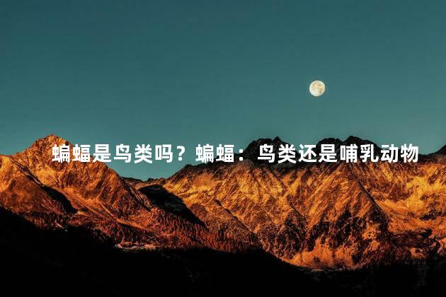 蝙蝠是鸟类吗？蝙蝠：鸟类还是哺乳动物？