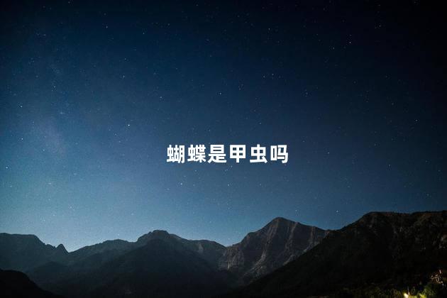 蝴蝶是甲虫吗
