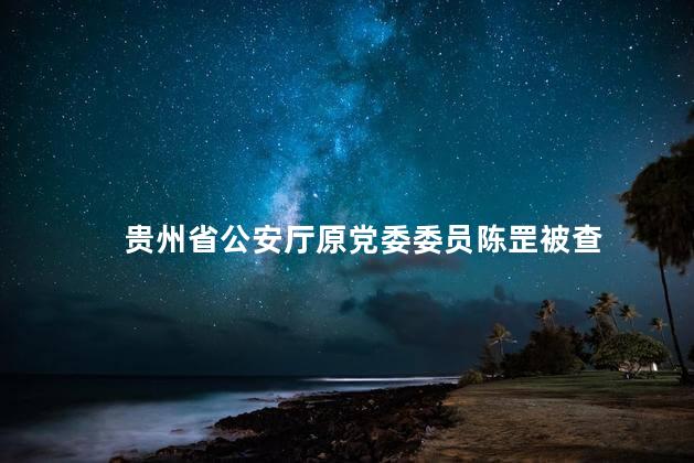 贵州省公安厅原党委委员陈罡被查 凸显了反腐败斗争的坚决态度