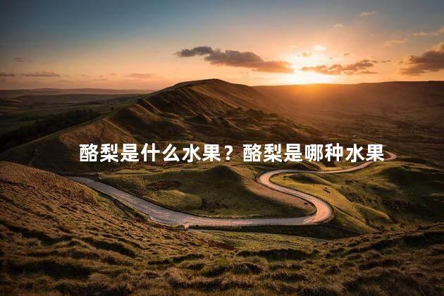 酪梨是什么水果？酪梨是哪种水果