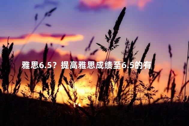 雅思6.5？提高雅思成绩至6.5的有效方法