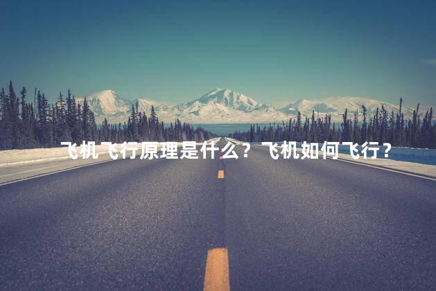 飞机飞行原理是什么？飞机如何飞行？
