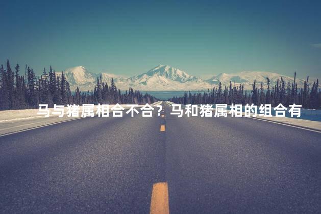 马与猪属相合不合？马和猪属相的组合有何特点