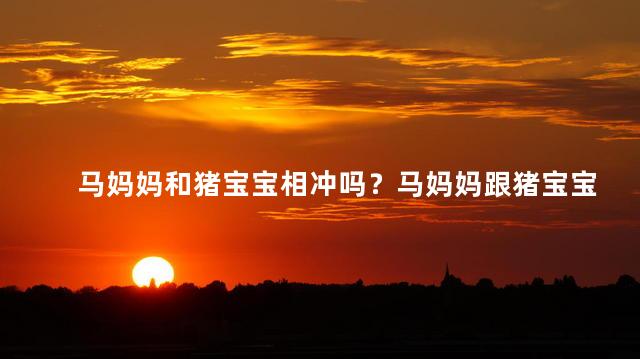 马妈妈和猪宝宝相冲吗？马妈妈跟猪宝宝：友好或敌对？